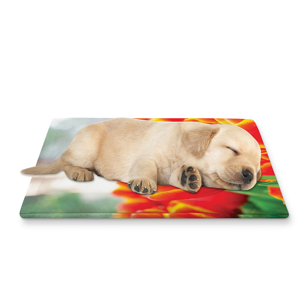 Red And Yellow Tulip Print Pet Cooling Mat Cover