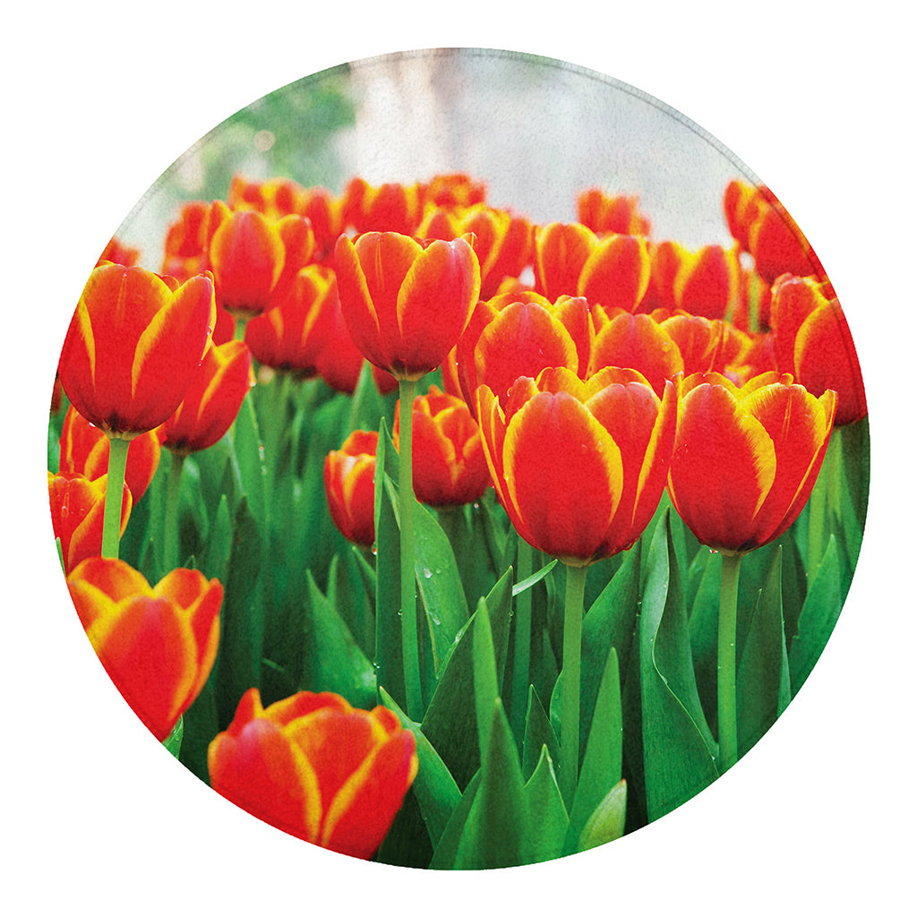 Red And Yellow Tulip Print Round Blanket