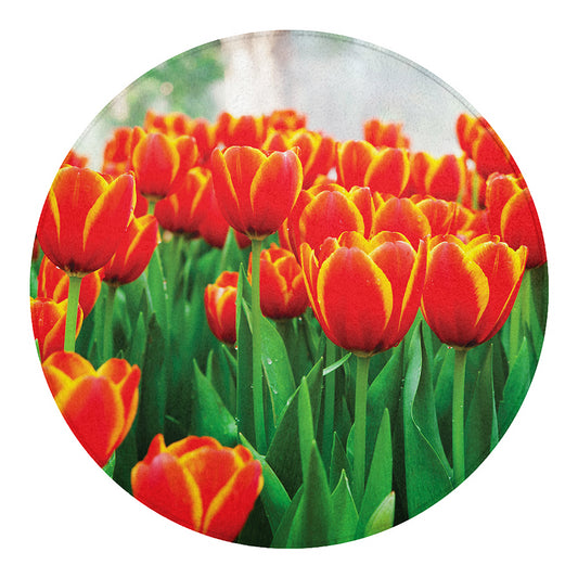 Red And Yellow Tulip Print Round Blanket