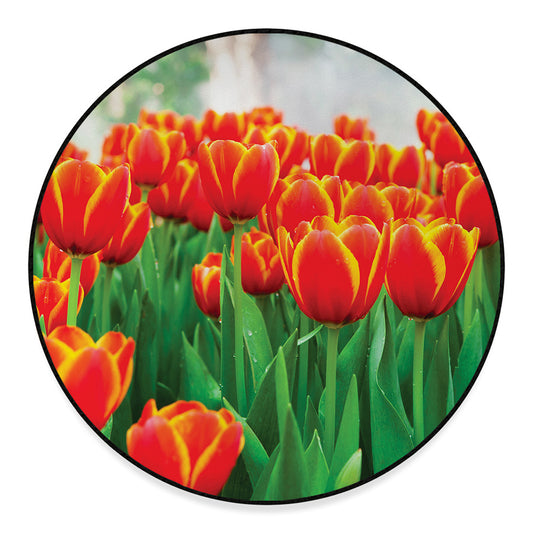 Red And Yellow Tulip Print Round Floor Mat