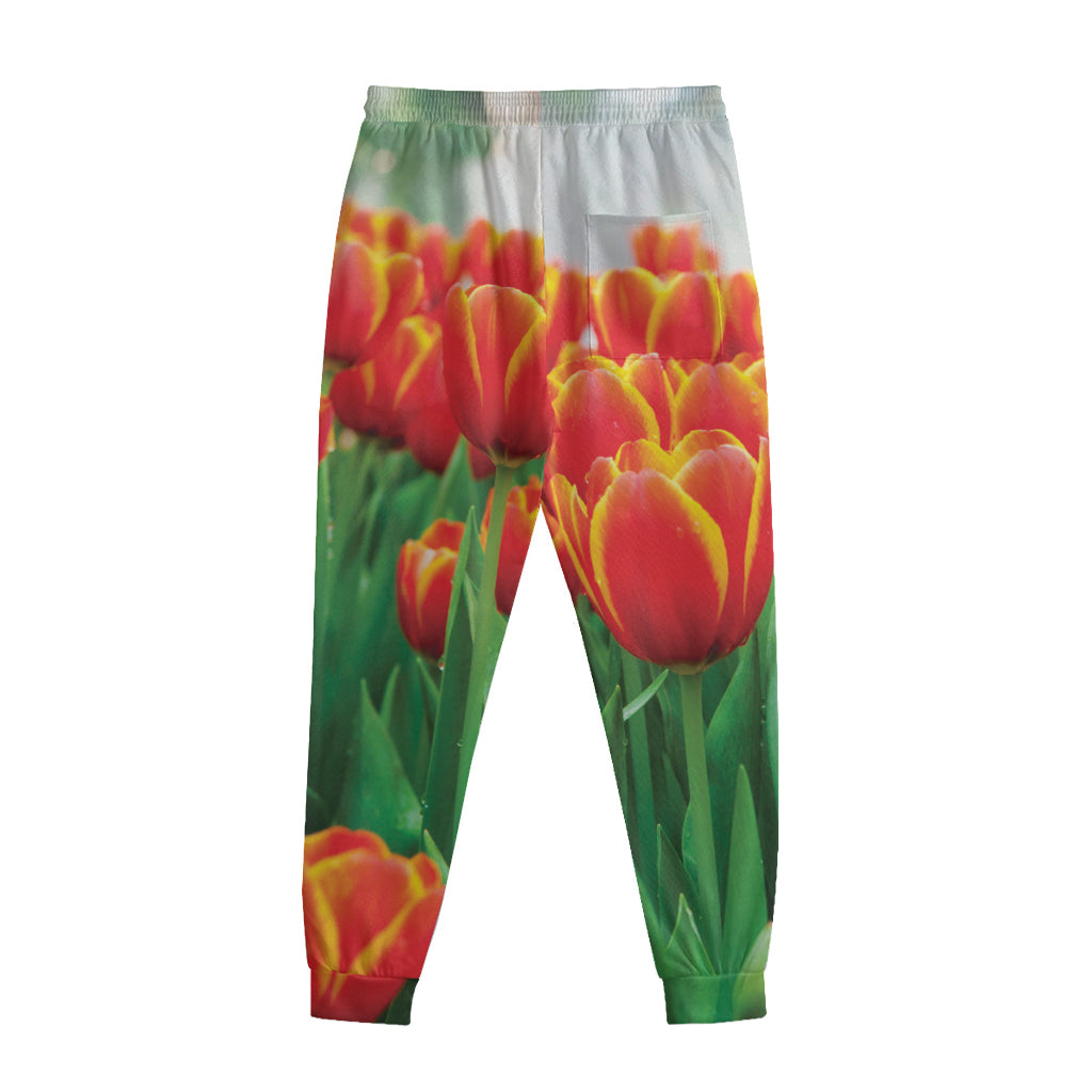Red And Yellow Tulip Print Sweatpants