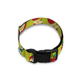 Red Apple Fruit Pattern Print Dog Collar