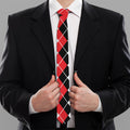 Red Black And White Argyle Print Necktie