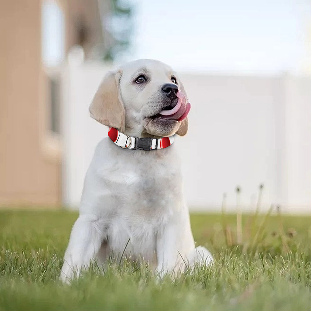 Red Blood Drop Pattern Print Dog Collar