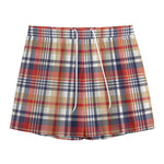 Red Blue And Beige Madras Plaid Print Mesh Shorts
