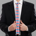 Red Blue And White Houndstooth Print Necktie