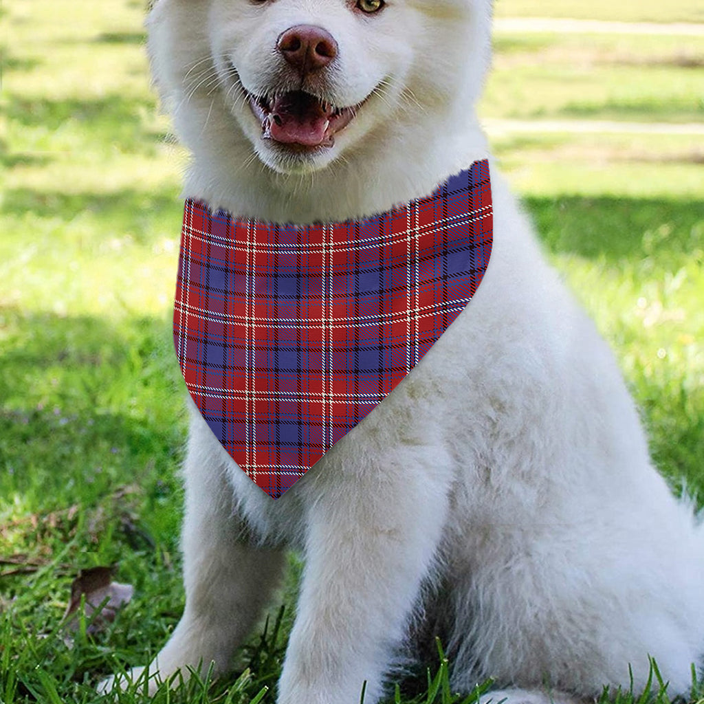 Red Blue And White Tartan Pattern Print Over The Collar Dog Bandana