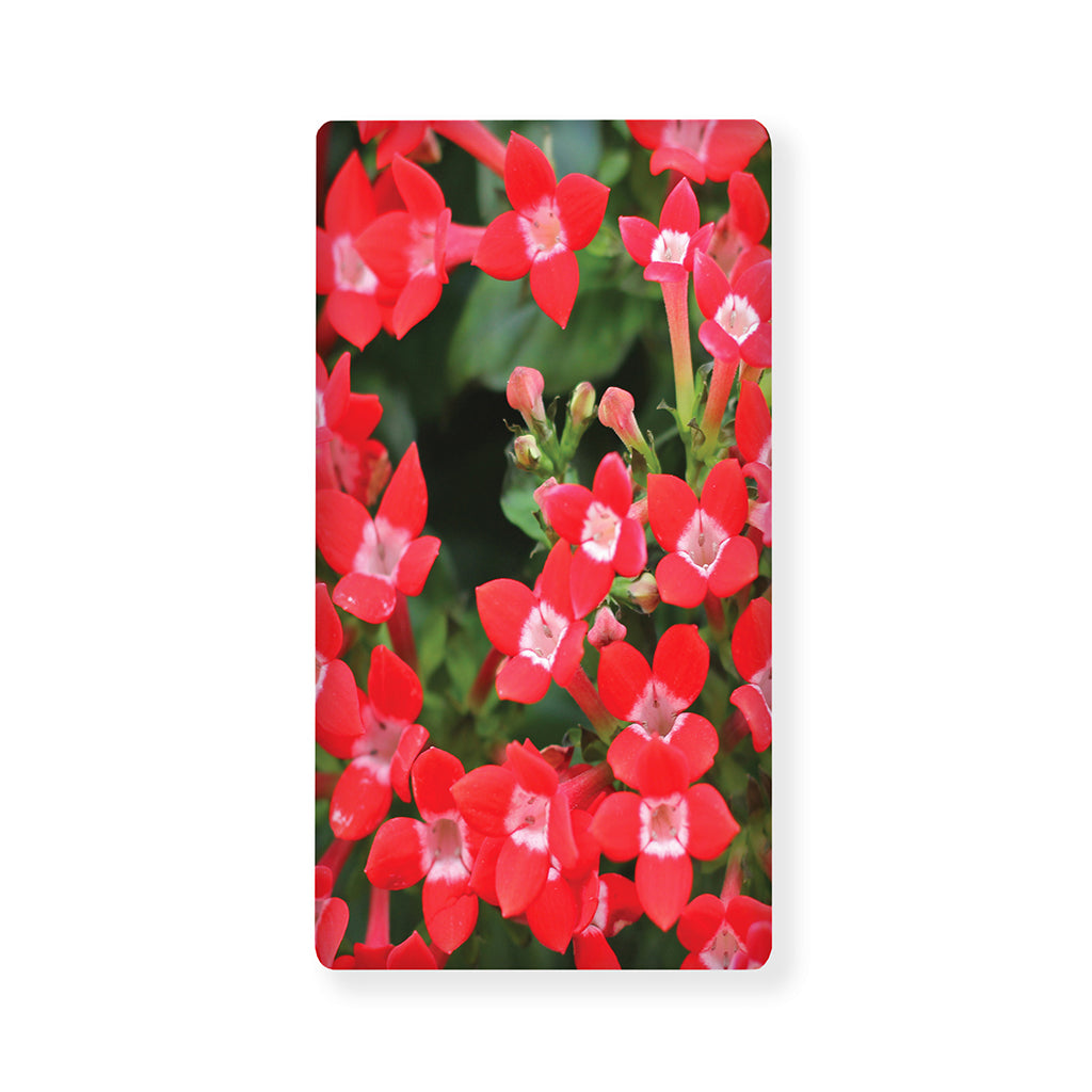Red Bouvardia Print Baby Crib Sheet