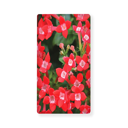 Red Bouvardia Print Baby Crib Sheet