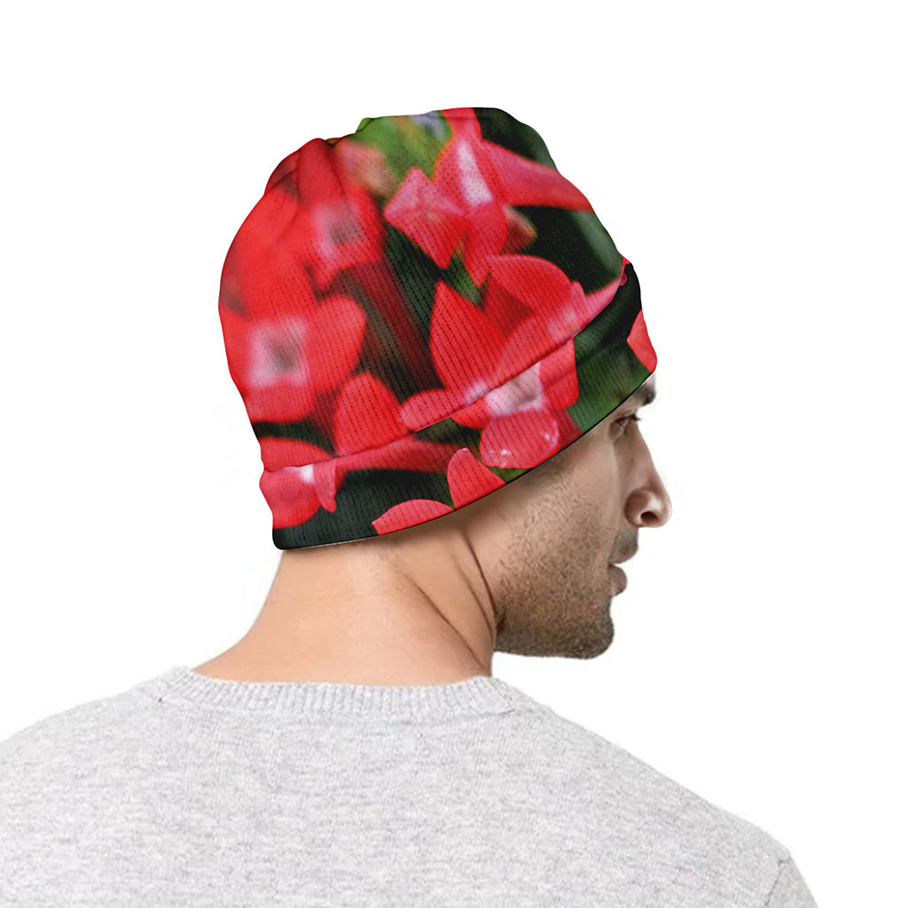 Red Bouvardia Print Beanie