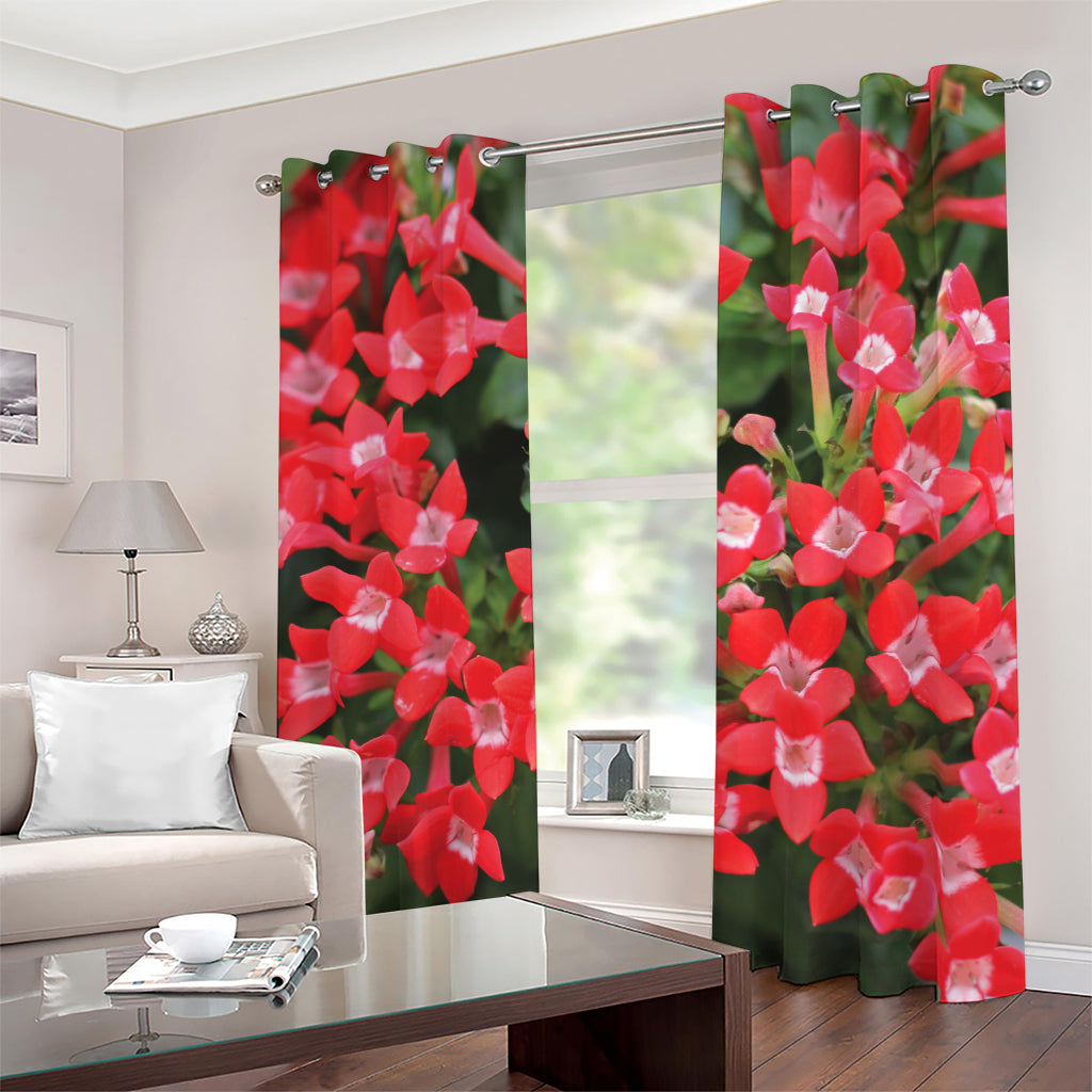 Red Bouvardia Print Blackout Grommet Curtains