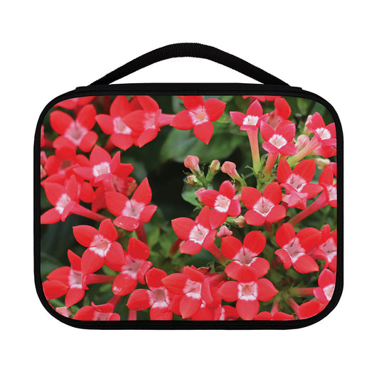 Red Bouvardia Print Classic Bible Case