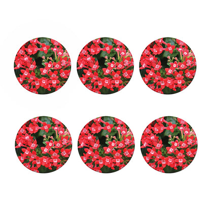Red Bouvardia Print Coaster Set