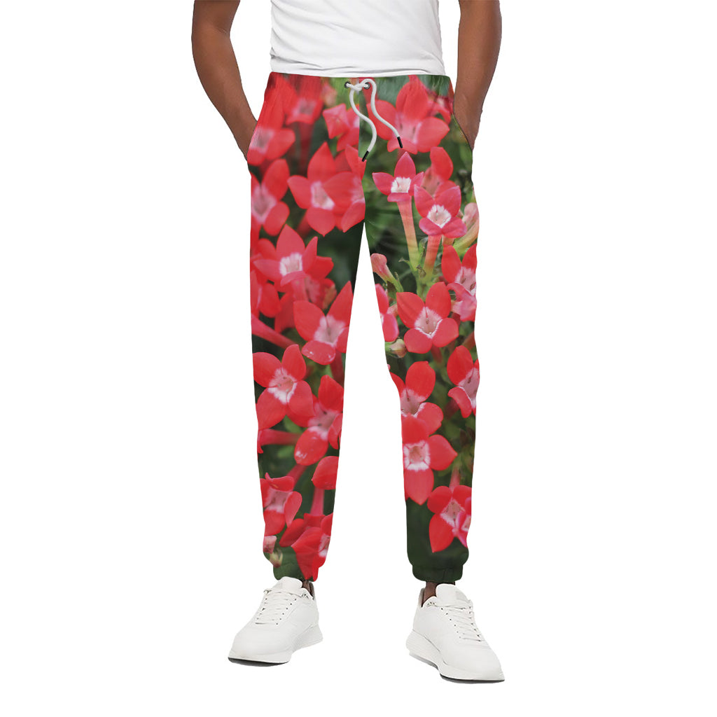 Red Bouvardia Print Cotton Pants