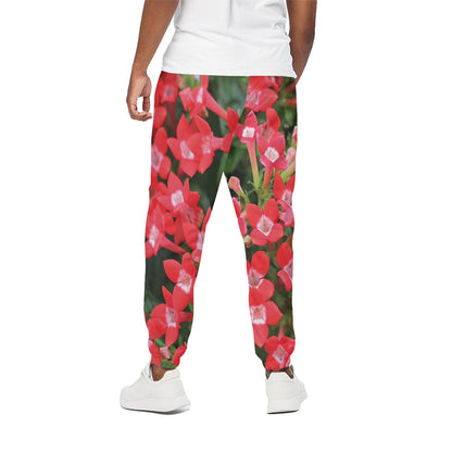 Red Bouvardia Print Cotton Pants