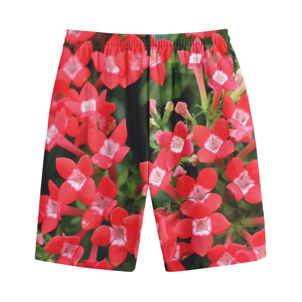 Red Bouvardia Print Cotton Shorts