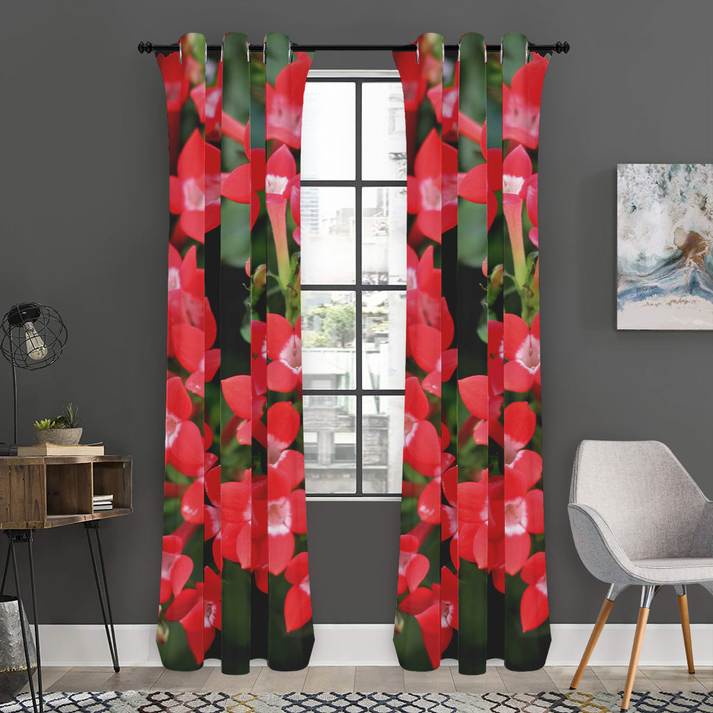 Red Bouvardia Print Curtain