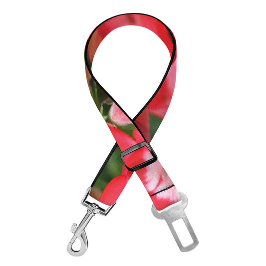 Red Bouvardia Print Dog Seat Belt