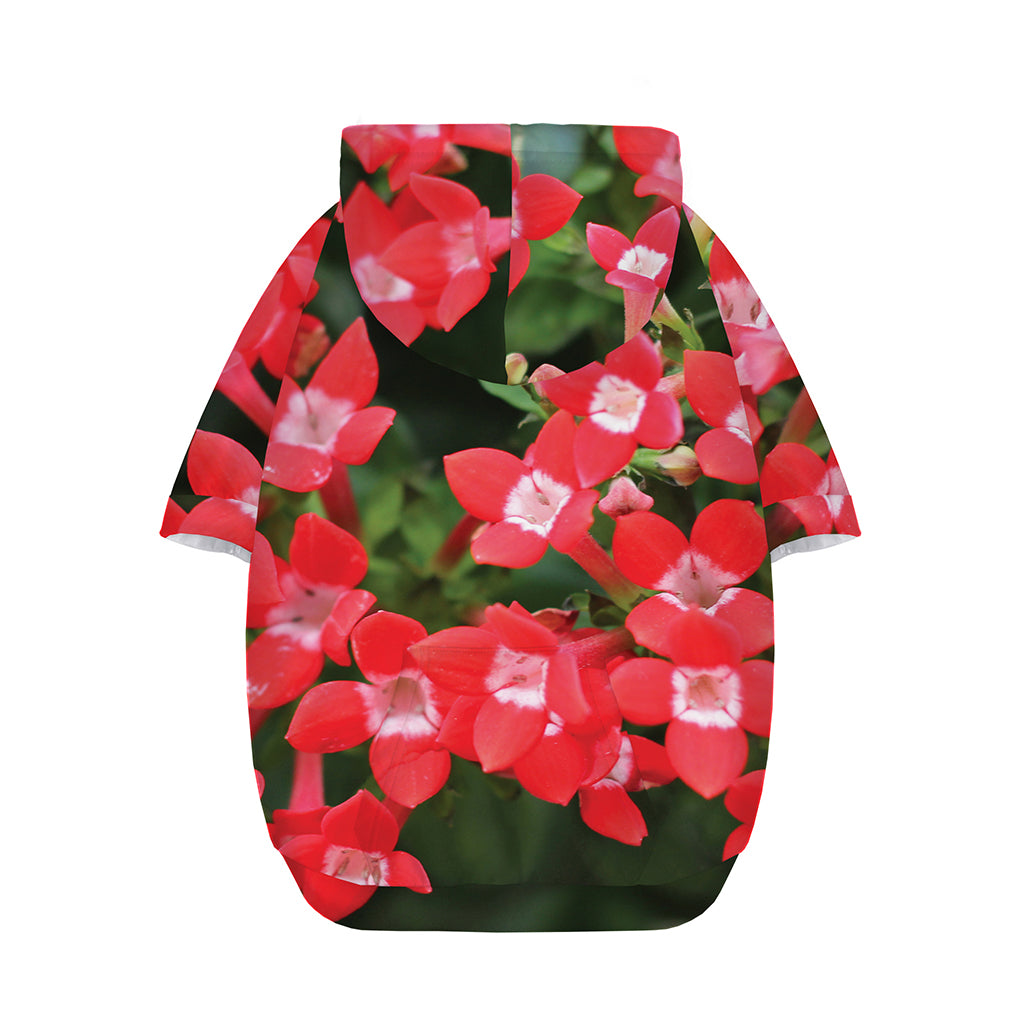 Red Bouvardia Print Dog Zip Up Hoodie