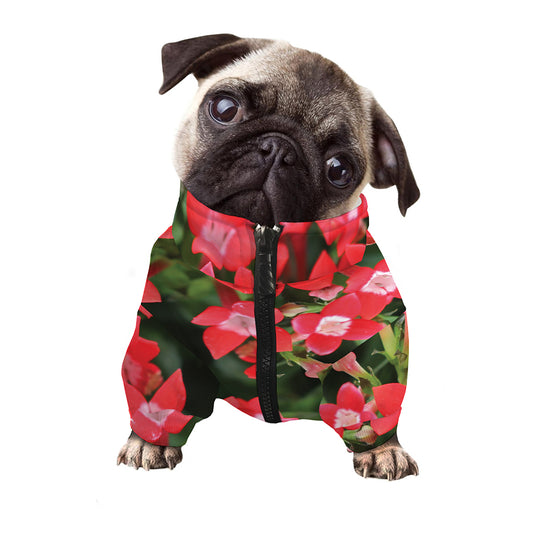Red Bouvardia Print Dog Zip Up Jacket
