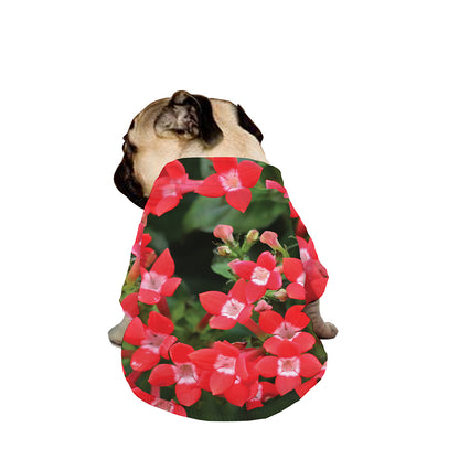 Red Bouvardia Print Dog Zip Up Jacket