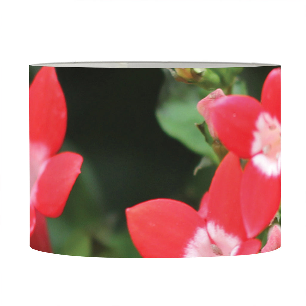 Red Bouvardia Print Drum Lamp Shade