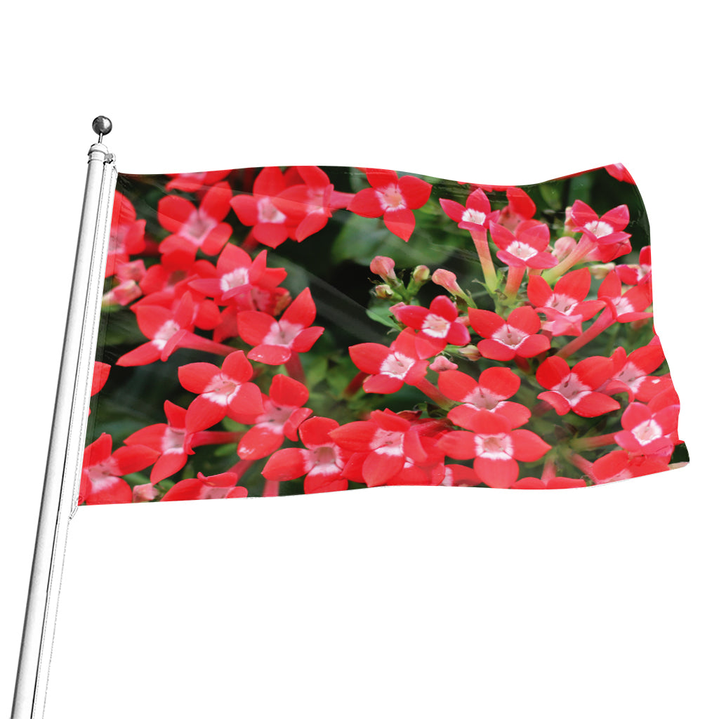 Red Bouvardia Print Flag