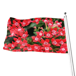 Red Bouvardia Print Flag