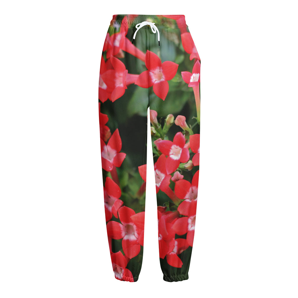 Red Bouvardia Print Fleece Lined Knit Pants