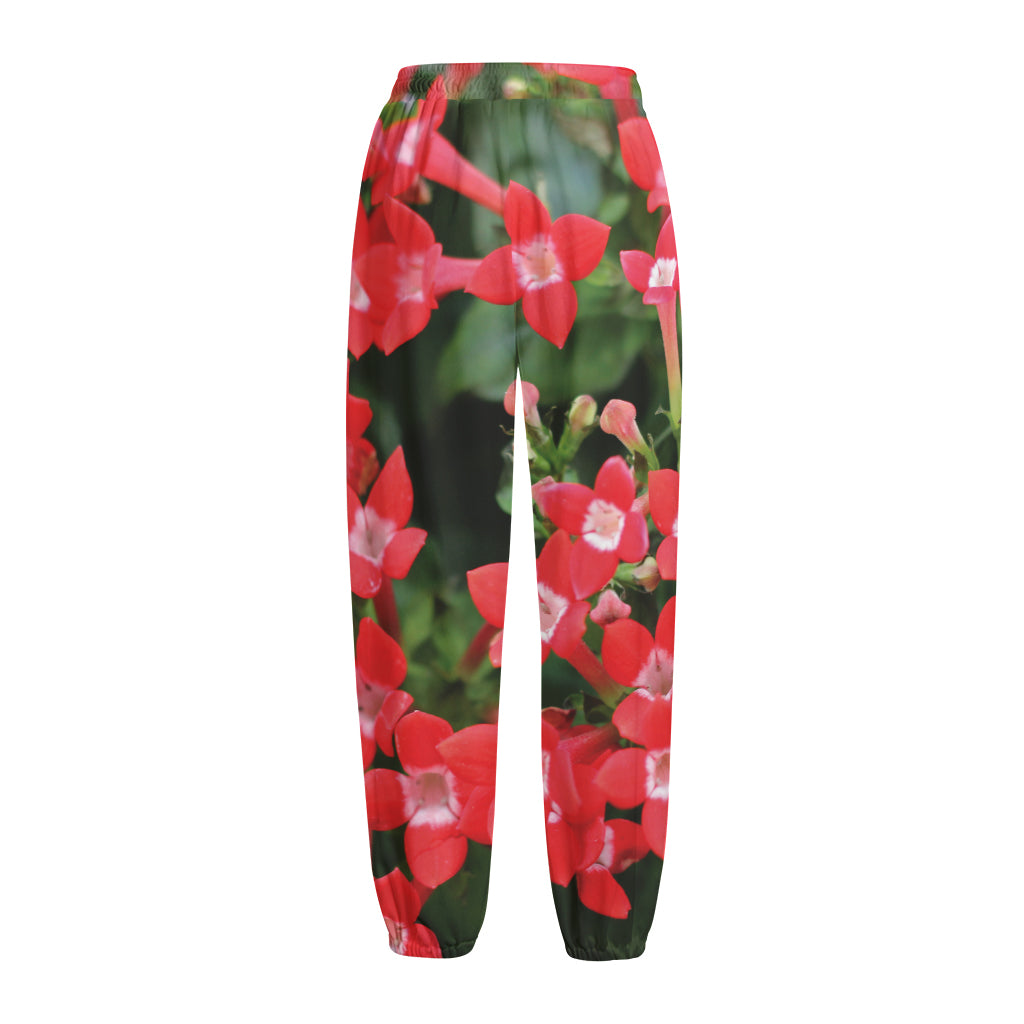 Red Bouvardia Print Fleece Lined Knit Pants