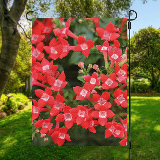 Red Bouvardia Print Garden Flag