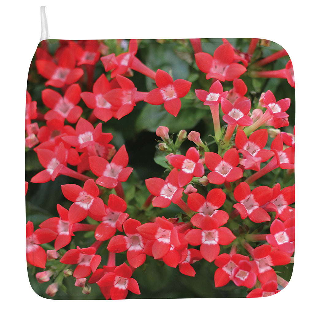 Red Bouvardia Print Hand Towel