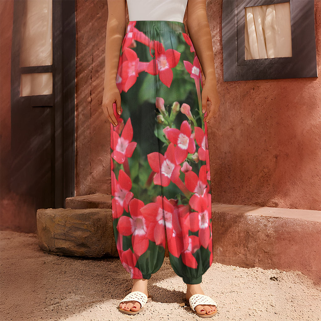 Red Bouvardia Print Harem Pants