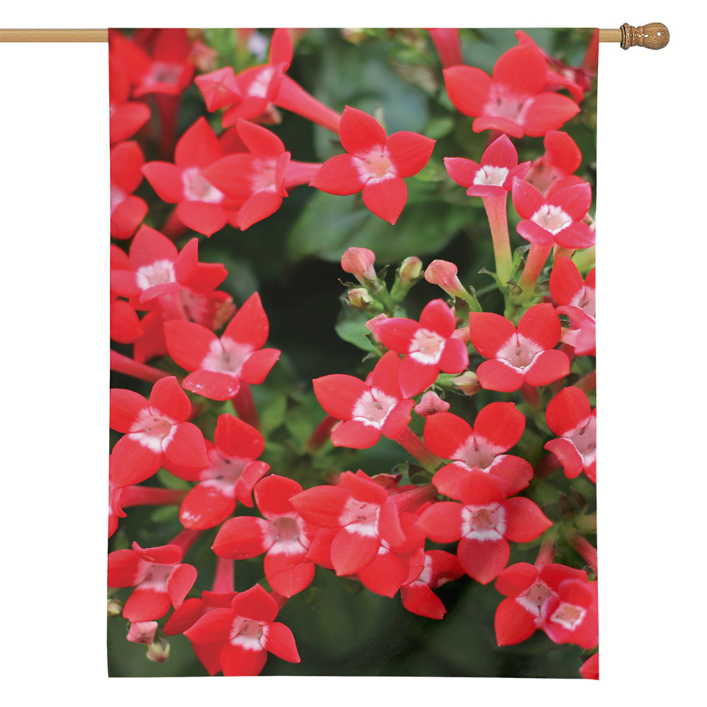 Red Bouvardia Print House Flag