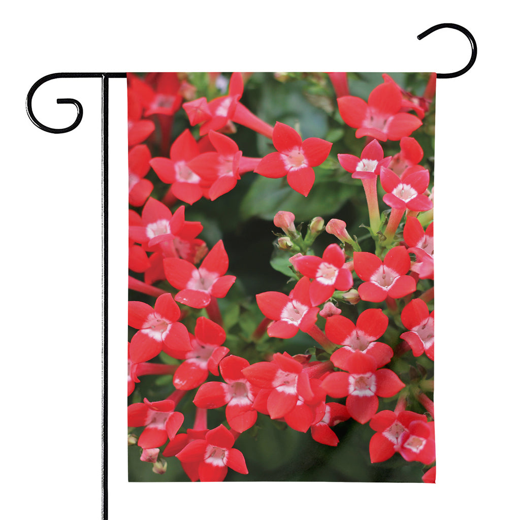 Red Bouvardia Print House Flag