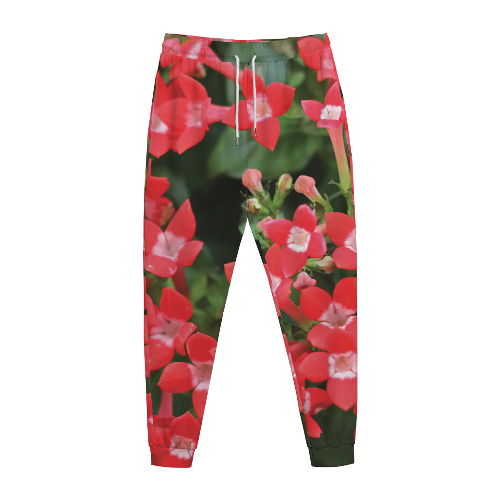 Red Bouvardia Print Jogger Pants