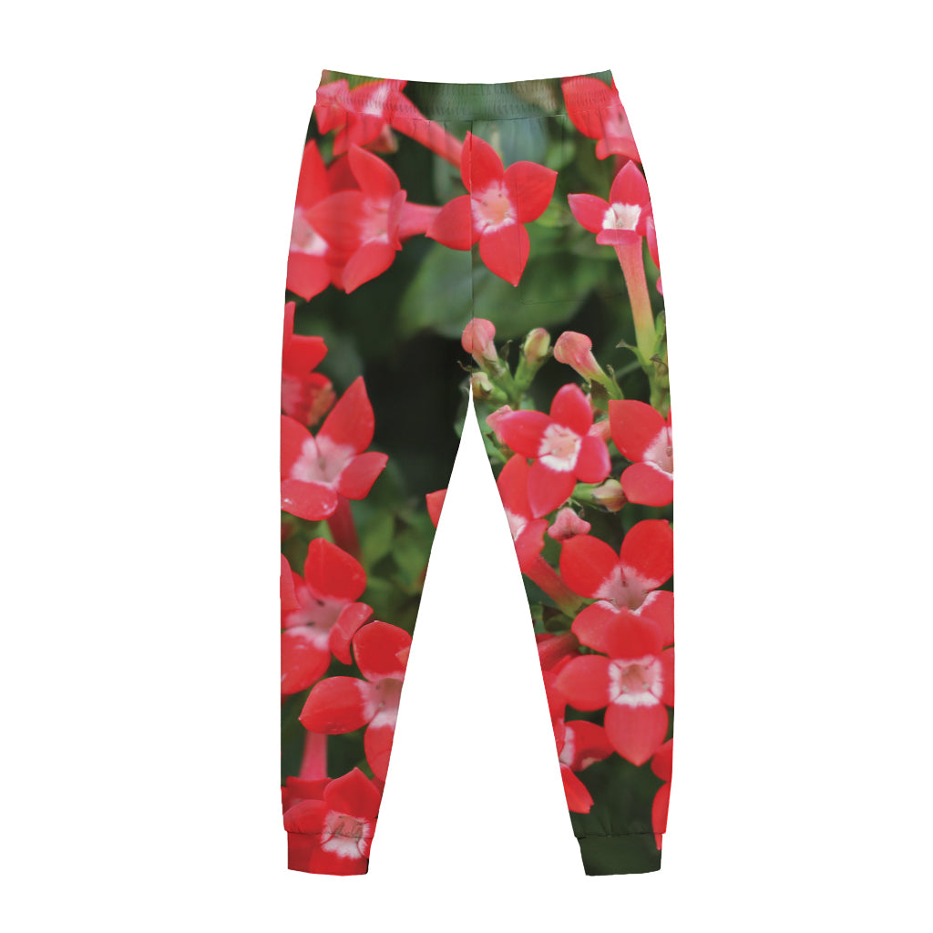Red Bouvardia Print Jogger Pants