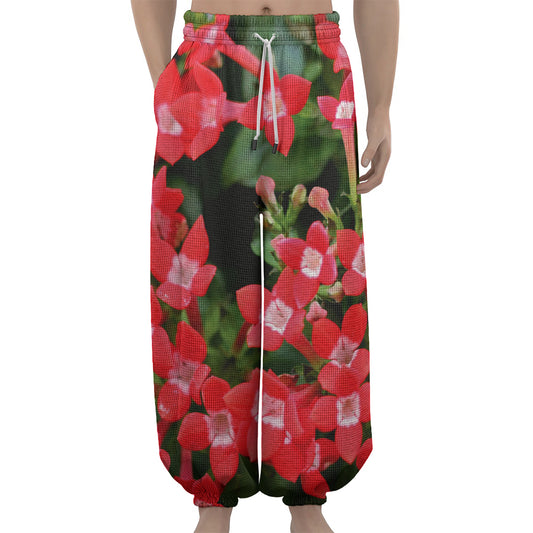 Red Bouvardia Print Lantern Pants