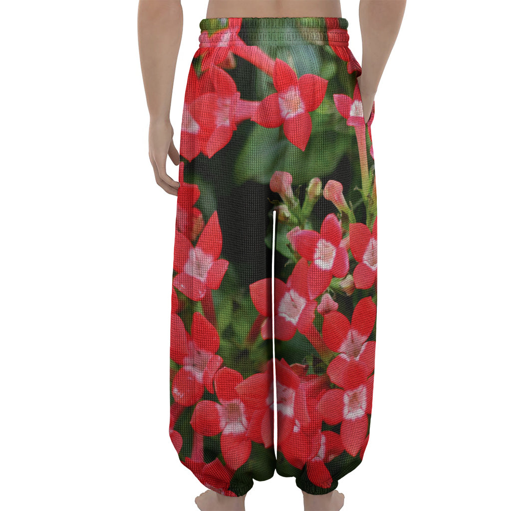 Red Bouvardia Print Lantern Pants
