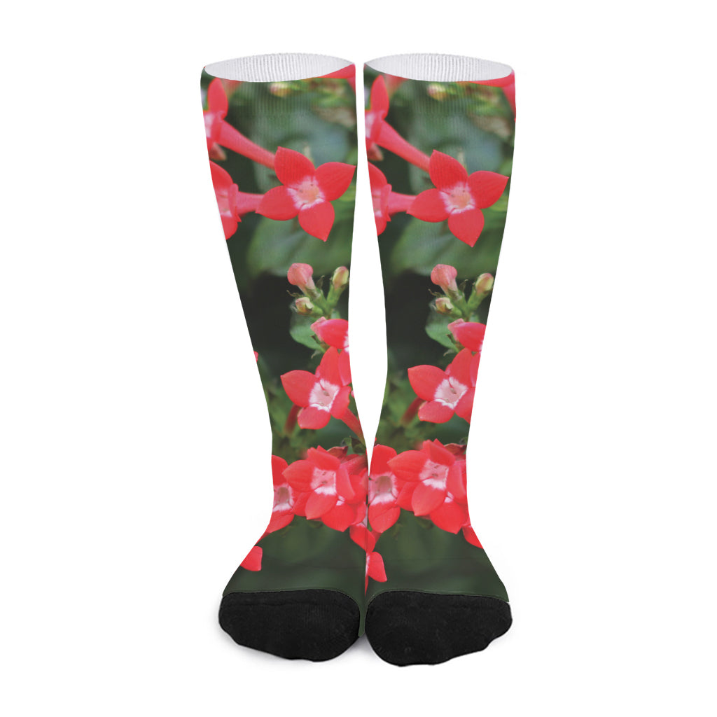 Red Bouvardia Print Long Socks