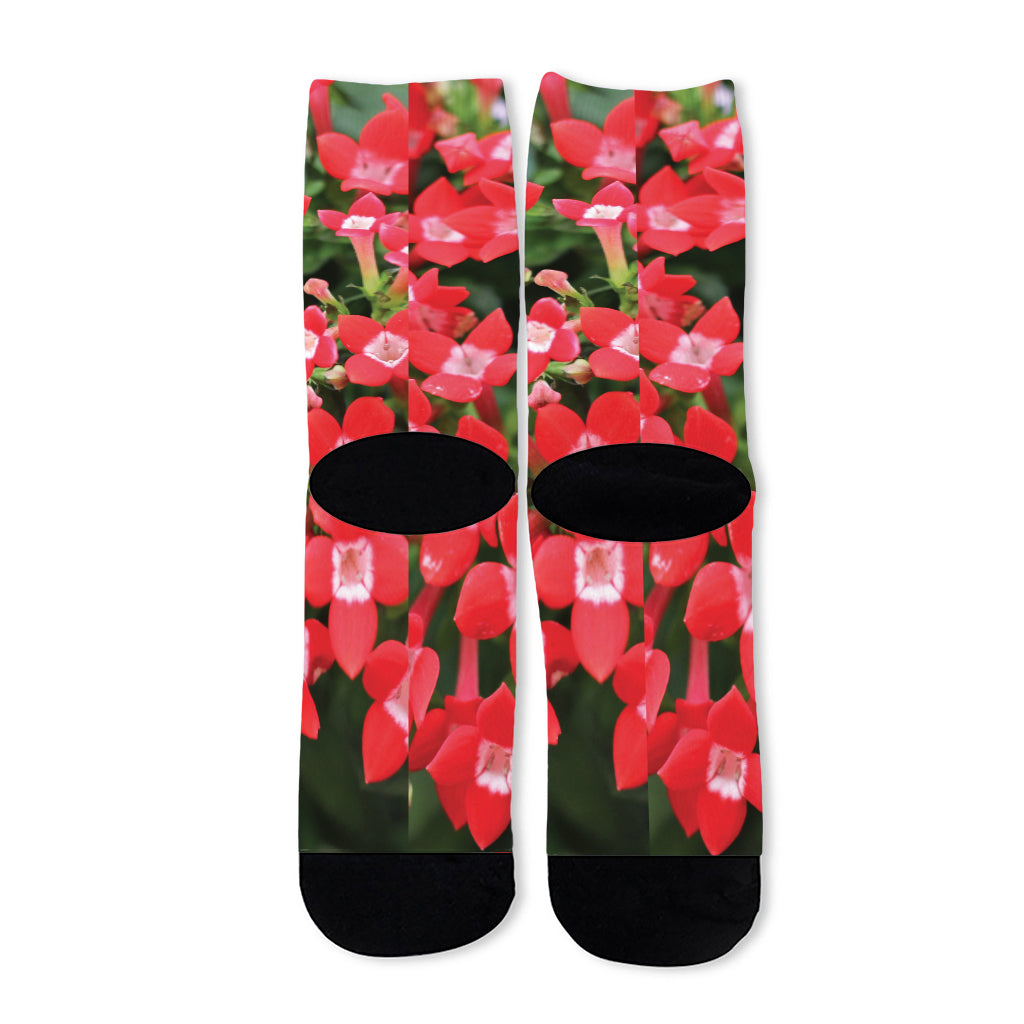 Red Bouvardia Print Long Socks