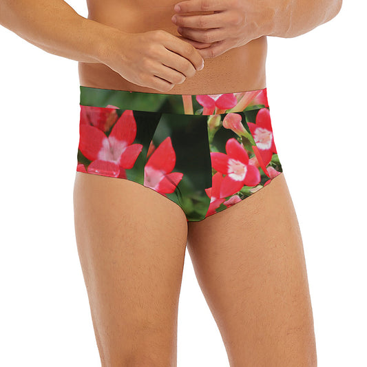 Red Bouvardia Print Men's Briefs