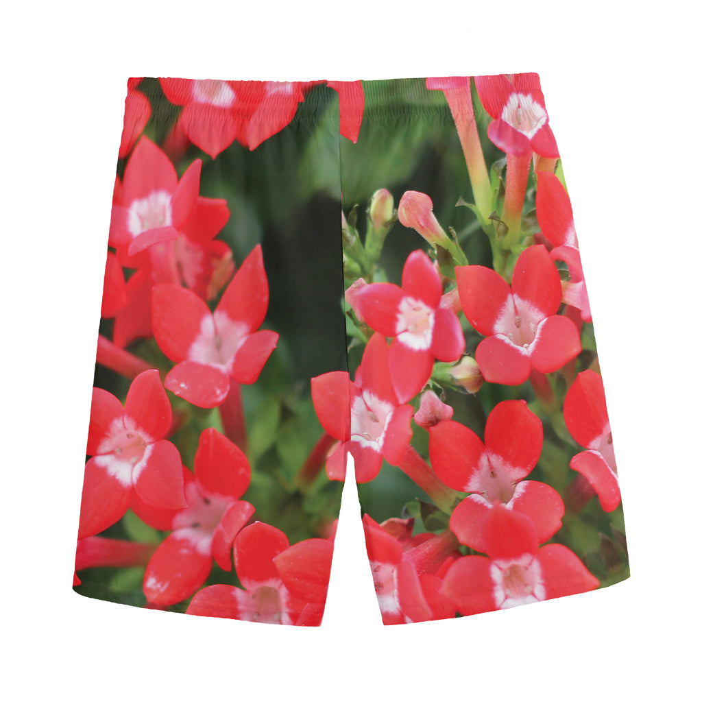 Red Bouvardia Print Men's Sports Shorts