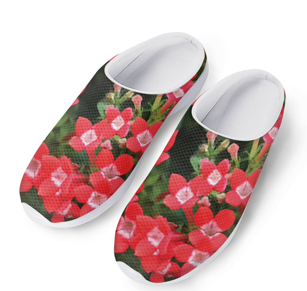 Red Bouvardia Print Mesh Casual Shoes