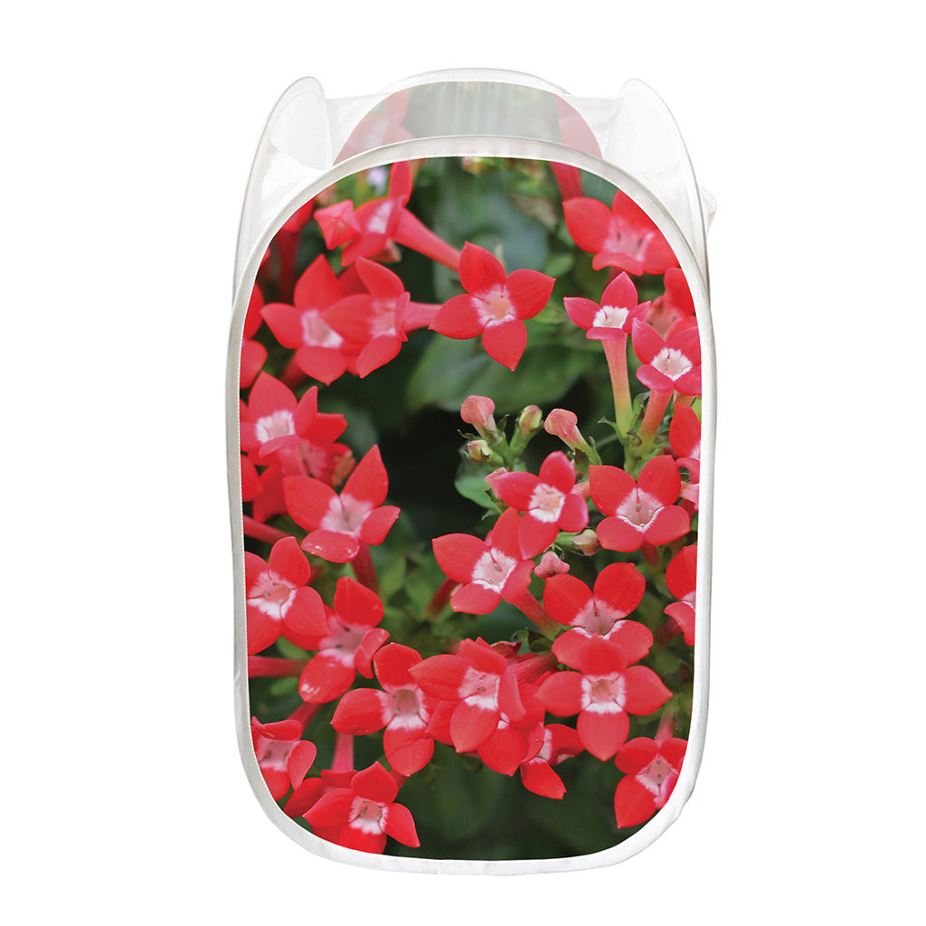 Red Bouvardia Print Mesh Laundry Hamper