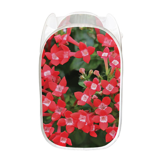 Red Bouvardia Print Mesh Laundry Hamper