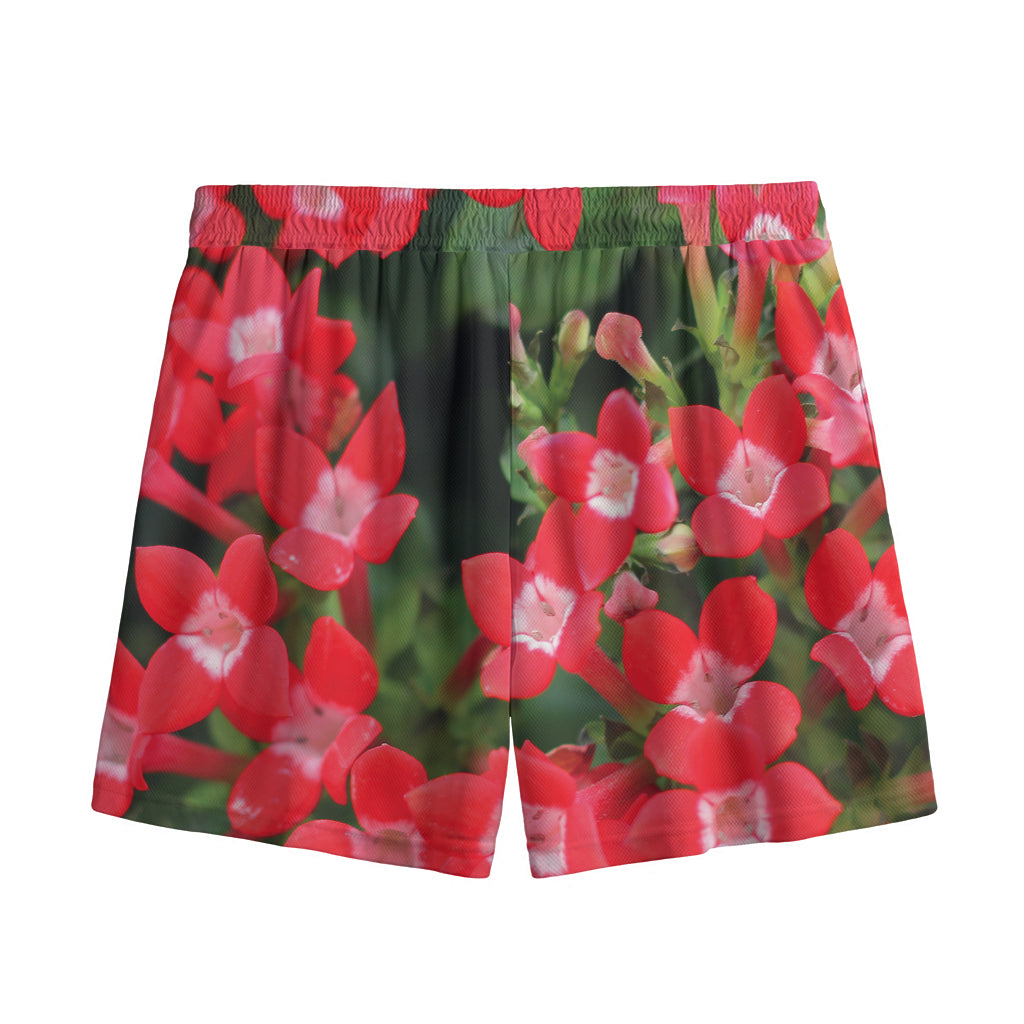 Red Bouvardia Print Mesh Shorts