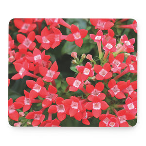 Red Bouvardia Print Mouse Pad