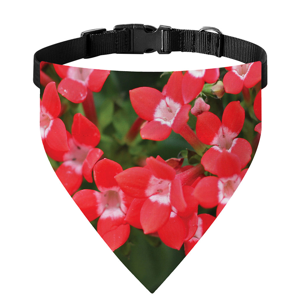 Red Bouvardia Print Over The Collar Dog Bandana