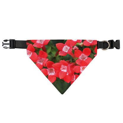 Red Bouvardia Print Over The Collar Dog Bandana